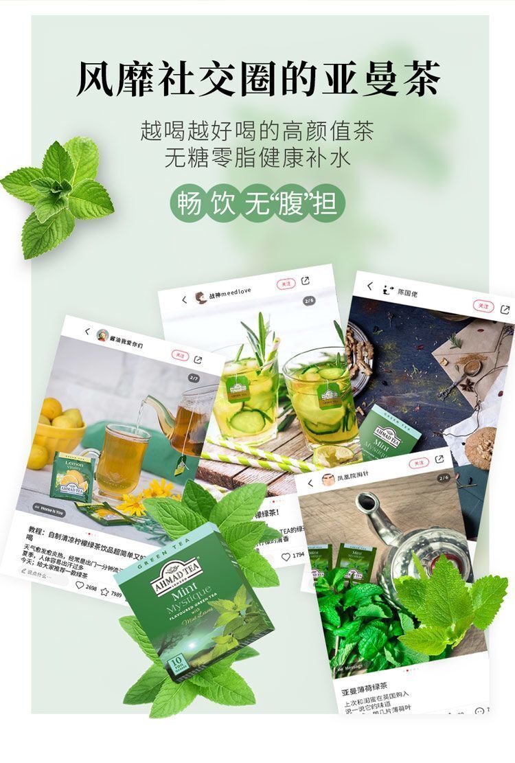 Mint Flavored Green Tea Fresh & Tasty Fruit Flavored Tea 2g*10pcs