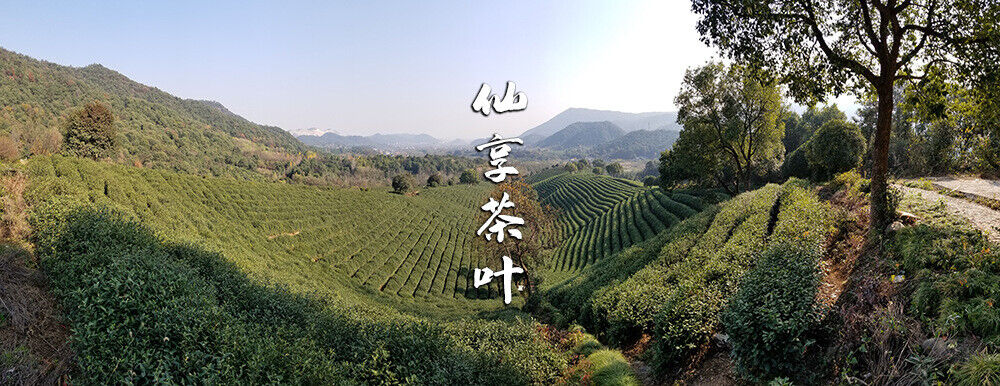 HelloYoung Longjing New Green Tea Strong Fragrance Labor Spring Ration Tea 500g/1.1lb