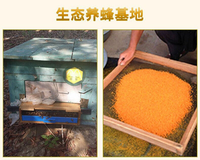 Yunnan Selected Particle Source Puzhe Black Lotus Pollen Plateau Specialty 200g