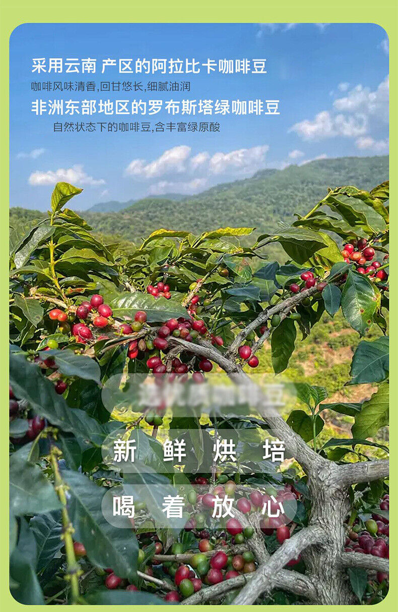 Green Coffee Instant Coffee Powder Pure Black Coffee Arabica Bean Coffee