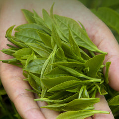 HelloYoung 250g Maofeng Green Tea Huangshan High Mountain Top-Grade Green Tea Gift Package