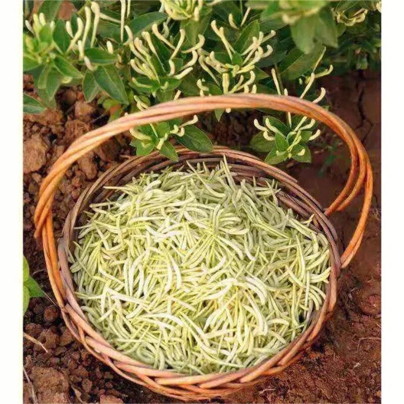 Honeysuckle High Quality Herbal Plant Tea Remove Heat Antipyretic Antidote 250g