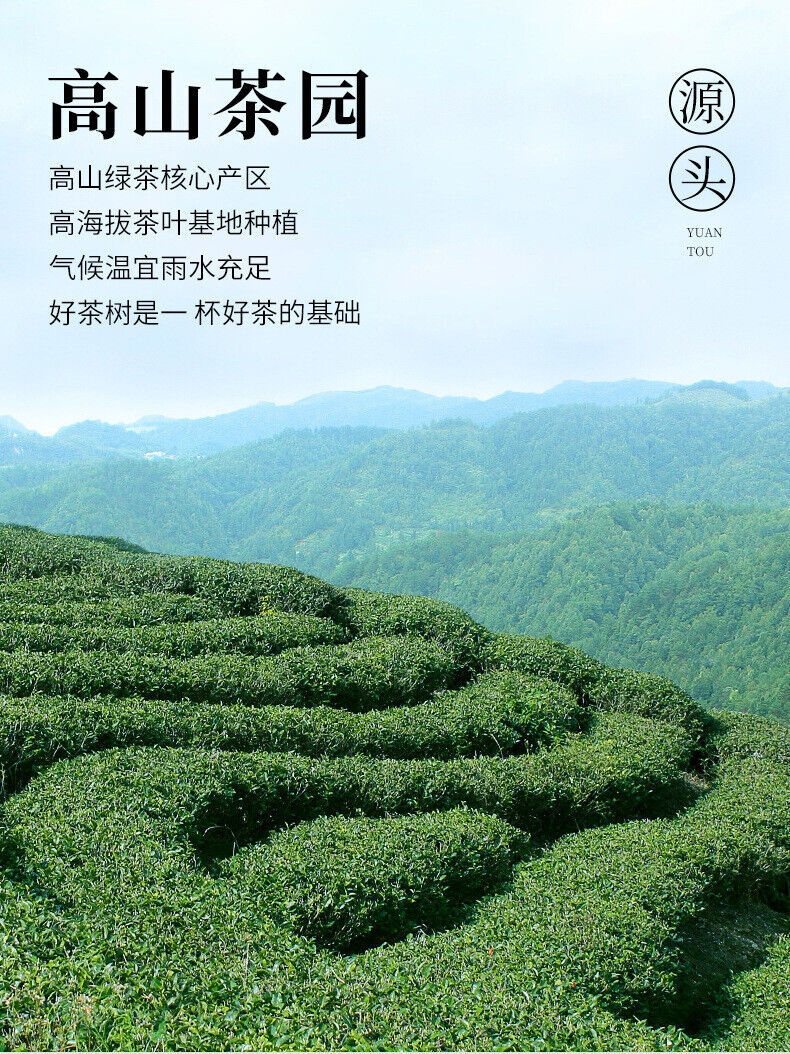 HelloYoung New Tea Jasmine Tea Leaves Green Tea Loose Strong Fragrance Type Cans