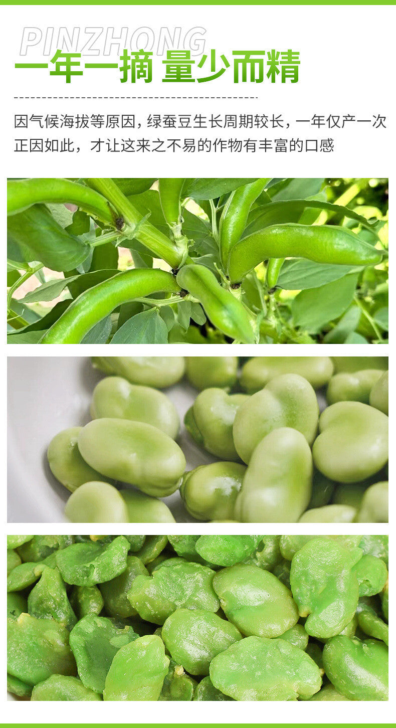 Yunnan Orchid Beans - Roasted Green Broad Beans Snack