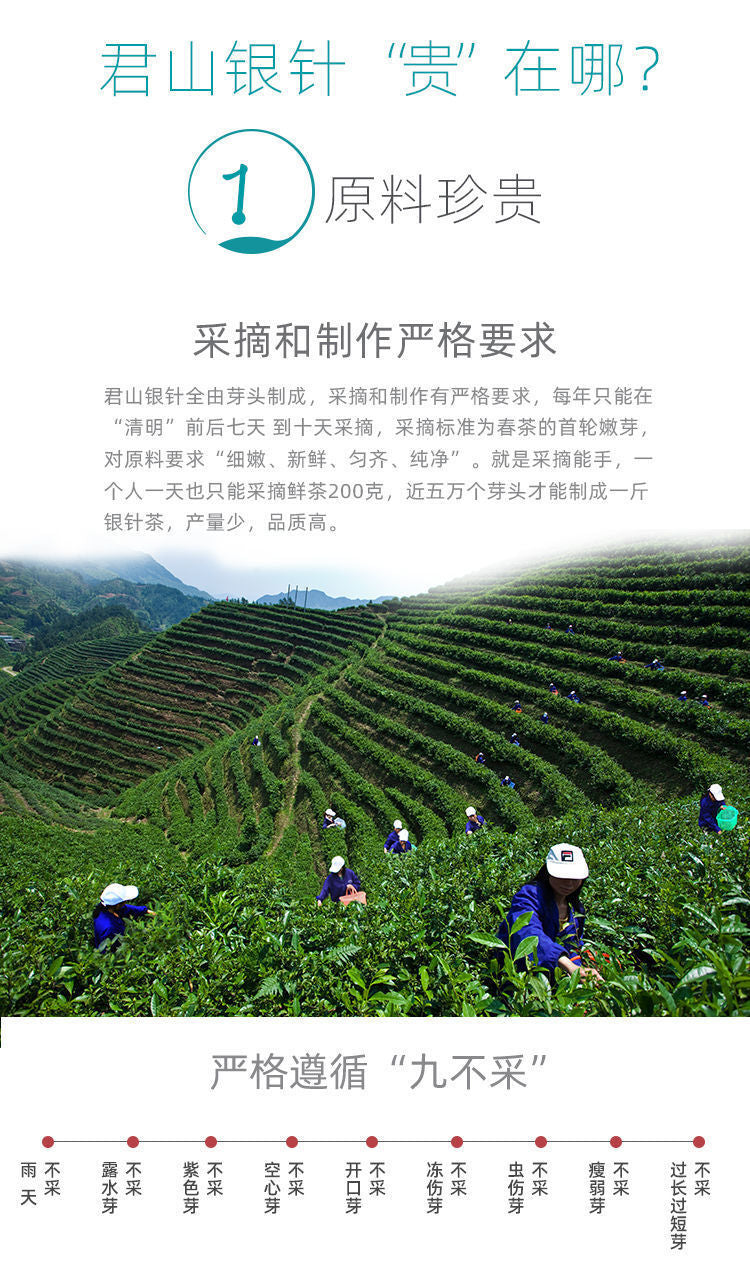 Junshan Silver Needle Pre-ming Dynasty New Tea Yellow Bud Tea Premium Tin 50g