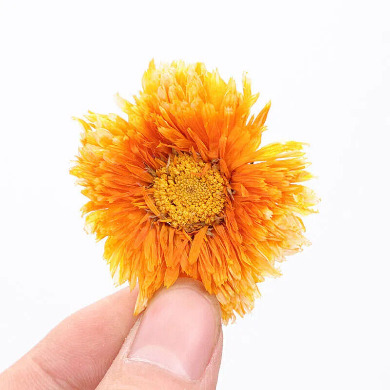 50-500g Organic Calendula Officinalis - Vacuum Packed Dried Flower - Free Post