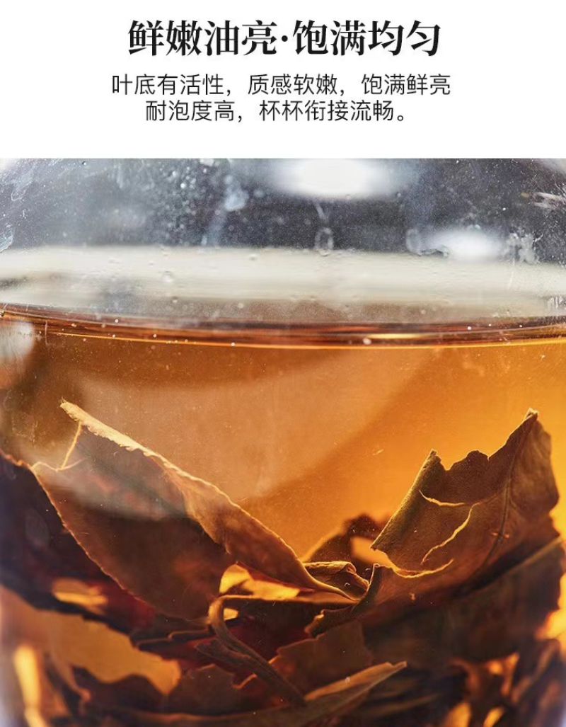 HelloYoung 350g Fuding high mountain white tea aged day sun old tea cake gongmei shoumei
