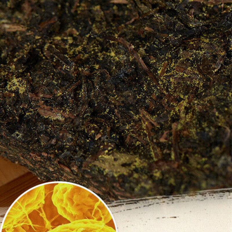 300g Special Made Yiyang Anhua Dark Tea Hei Cha Fu Tea Brick Hunan Fu Tea Fucha