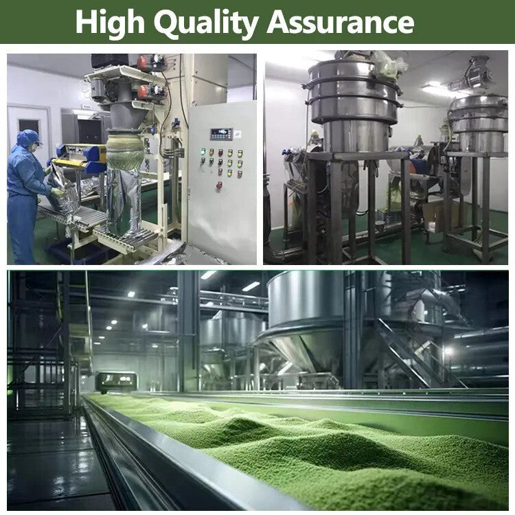 100g Instant Soluble Drink for Detox and Wellness Barley Grass Powder