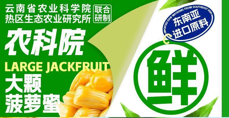 Yunnan Jackfruit Slices – Thick-Cut Dried Fruit Snack