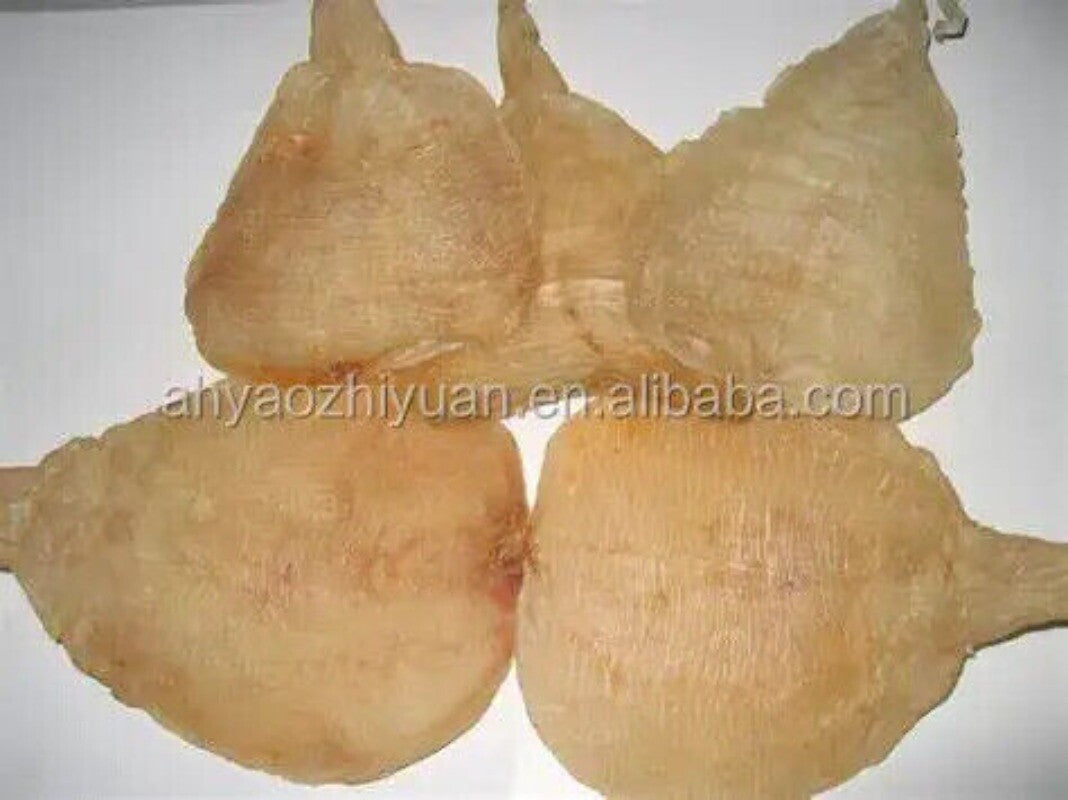 Good Efficacy Fish Maw/ Fish Bladder 250g