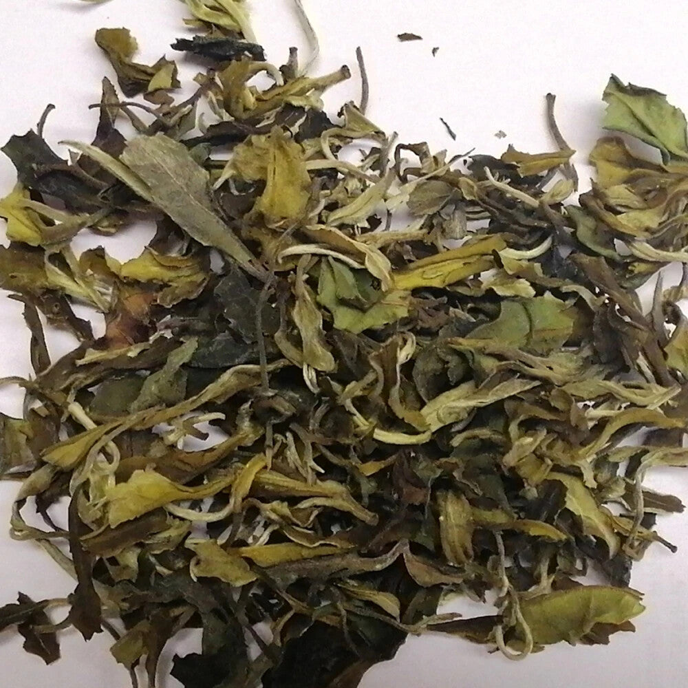 Free Sample Top Quality Organic White Tea Silver Needle Tea Bag Gift Box Loose