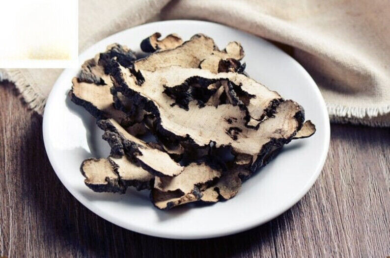 Zhu Ling/猪苓/Trametes Gibbosa/Polyporus umbellatus