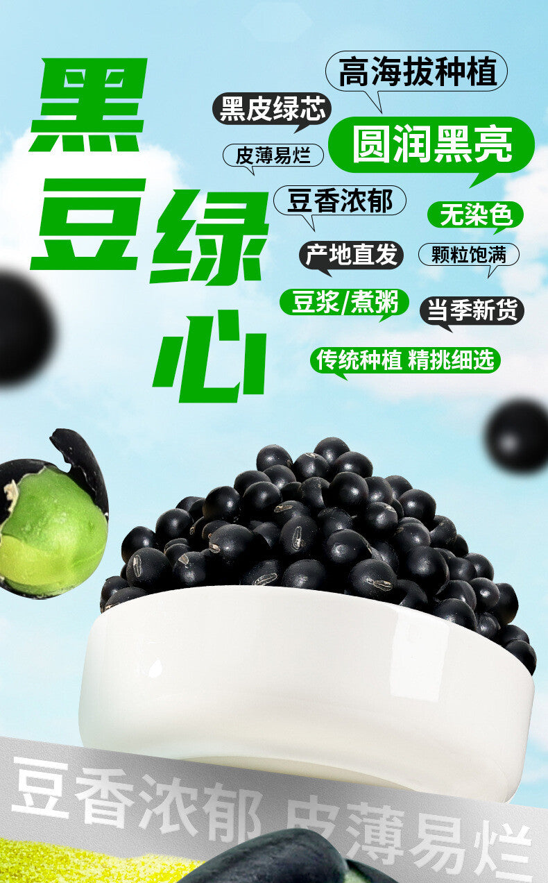 Green Heart Black Beans – Non-GMO Soybeans for Soy Milk & Bean Sprouts