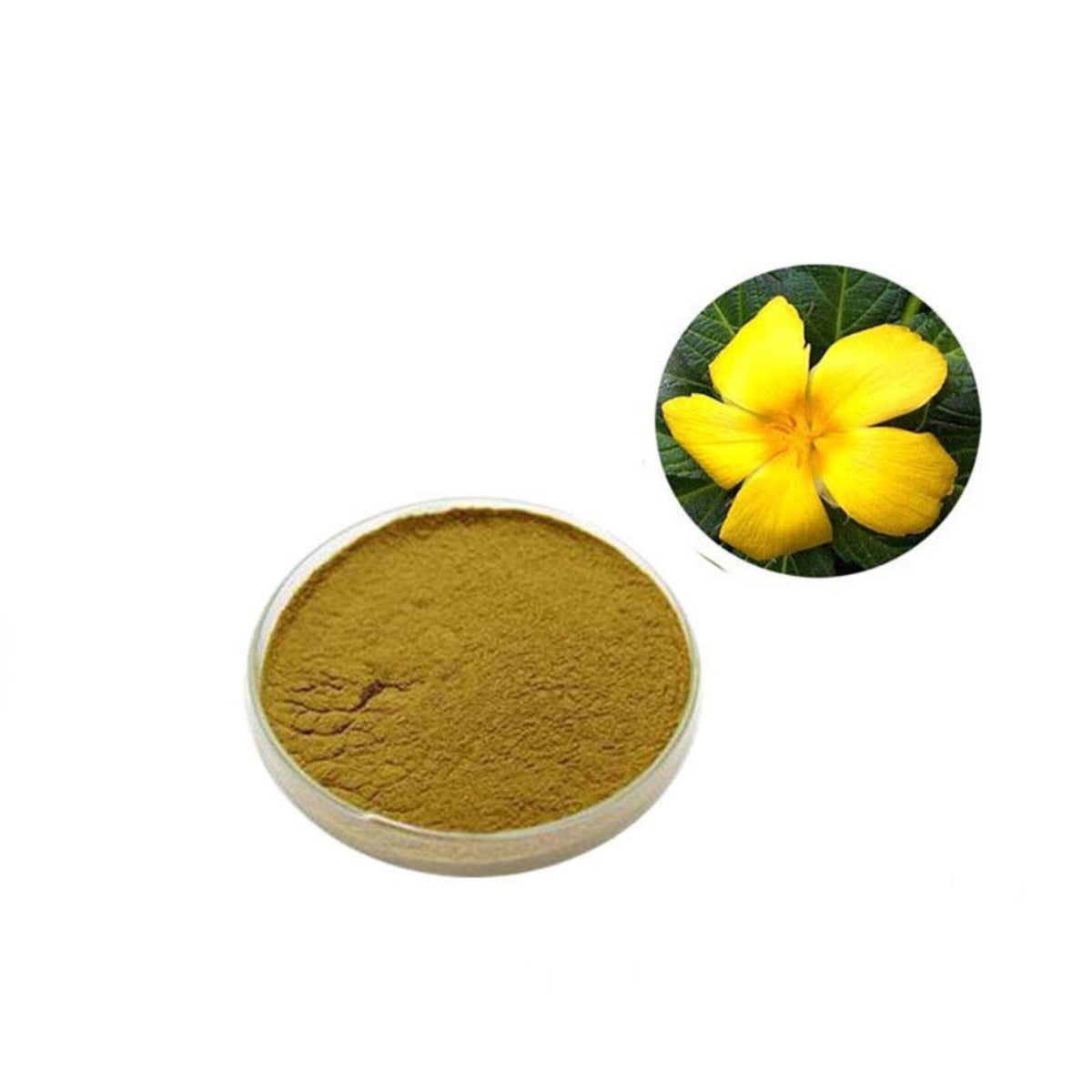 100g Damiana Extract 10:1 Powder - Turnera Diffusa Leaf | Pure & Natural