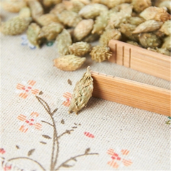 500g Chinese herb Top Quality Fructus Xanthii