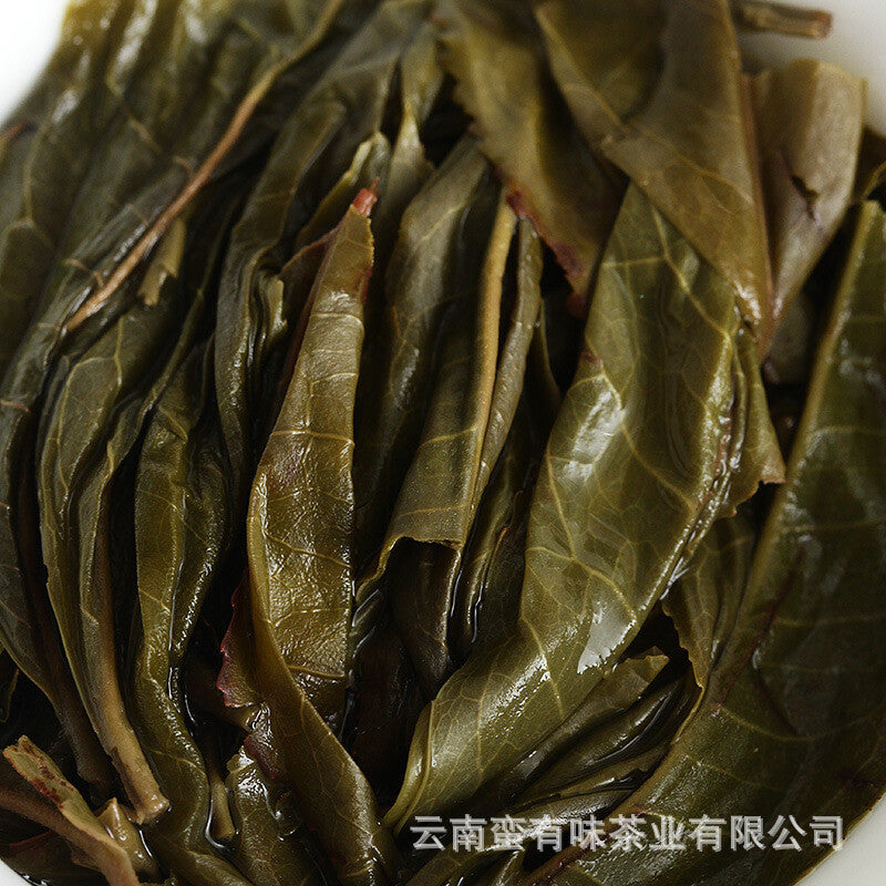 Spring Tea loose tea Plum Turnip Arbor Raw Big Tree Tea 500g Yunnan Puerh Tea