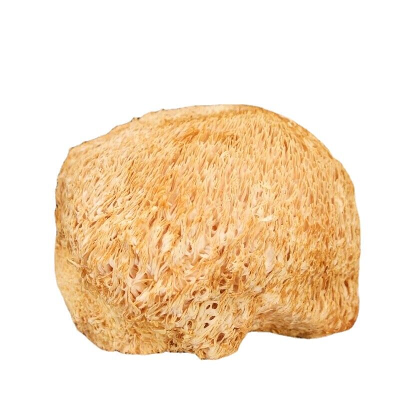 HelloYoung 100% Organic Dried Lion's Mane Mushroom Chinese Herbs 17.6oz