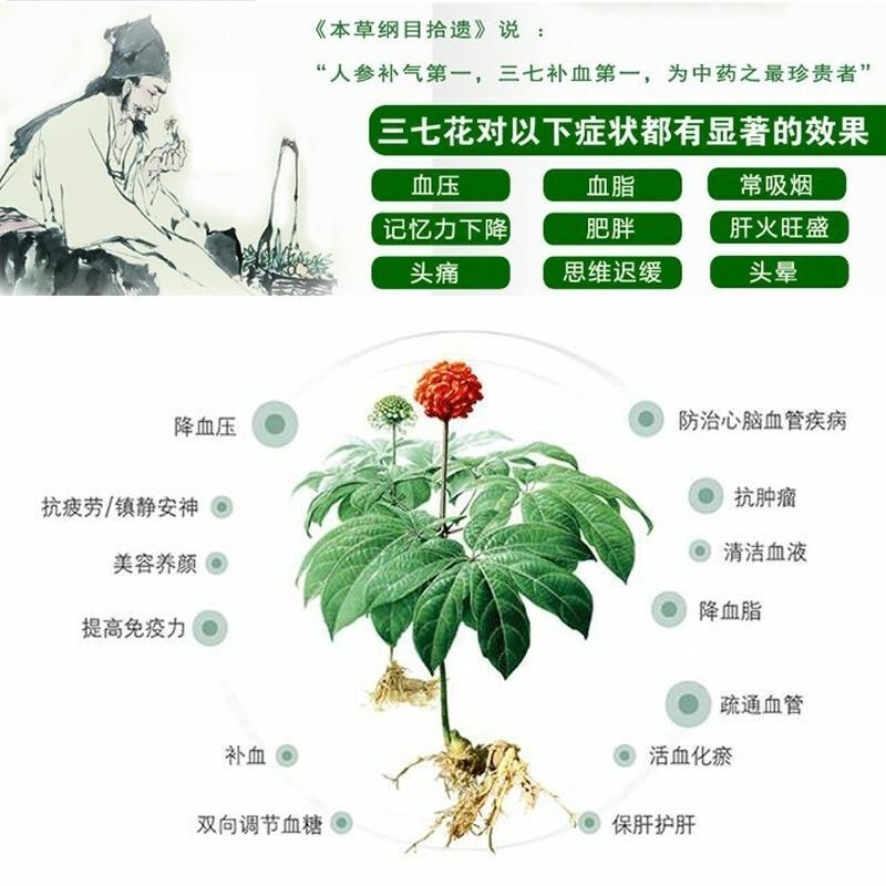 HelloYoung 250g Notoginseng Flower Herbal Tea Chinese Sanqi Natural Herbs Tea Health Care