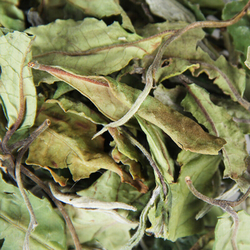 HelloYoung 500g Bulk White Tea Top Yunnan Big Leaf Honey Flavour White Tea Health
