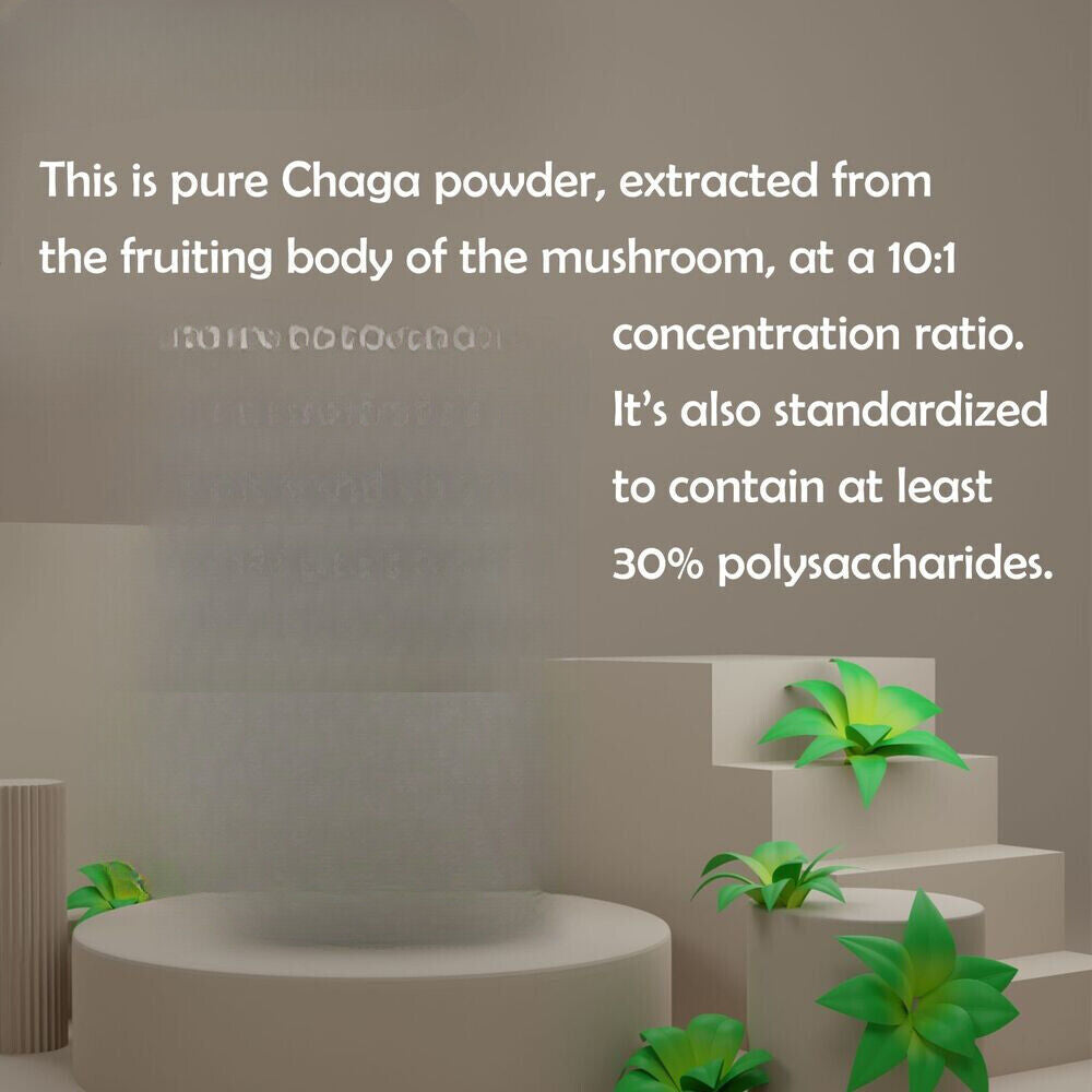 Chaga Mushroom Powder Non GMO 3.53oz Pure Extract