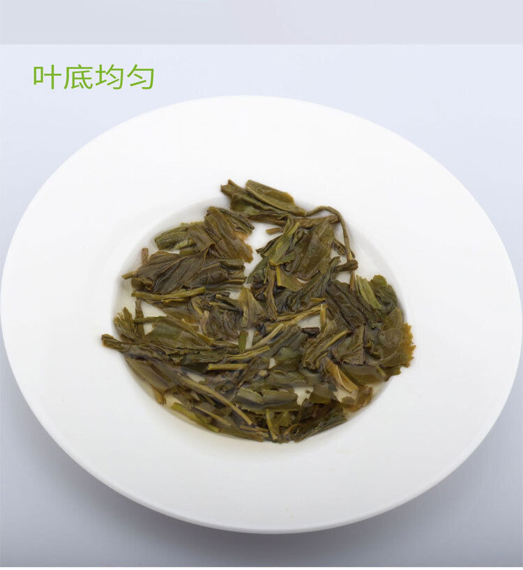 HelloYoung Jasmine Tea Strongly scented jasmine tea Herbal Tea Canned New Green Tea 125g