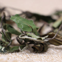 TopFuding White Tea Floral Fragrance Bulk White Tea White DewAutumn Tea 500g