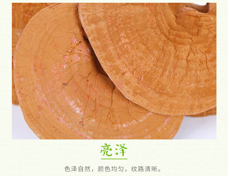 Changbai Mountain Lingzhi Tablet Red Ganoderma lucidum Wood Ganoderma lucidum