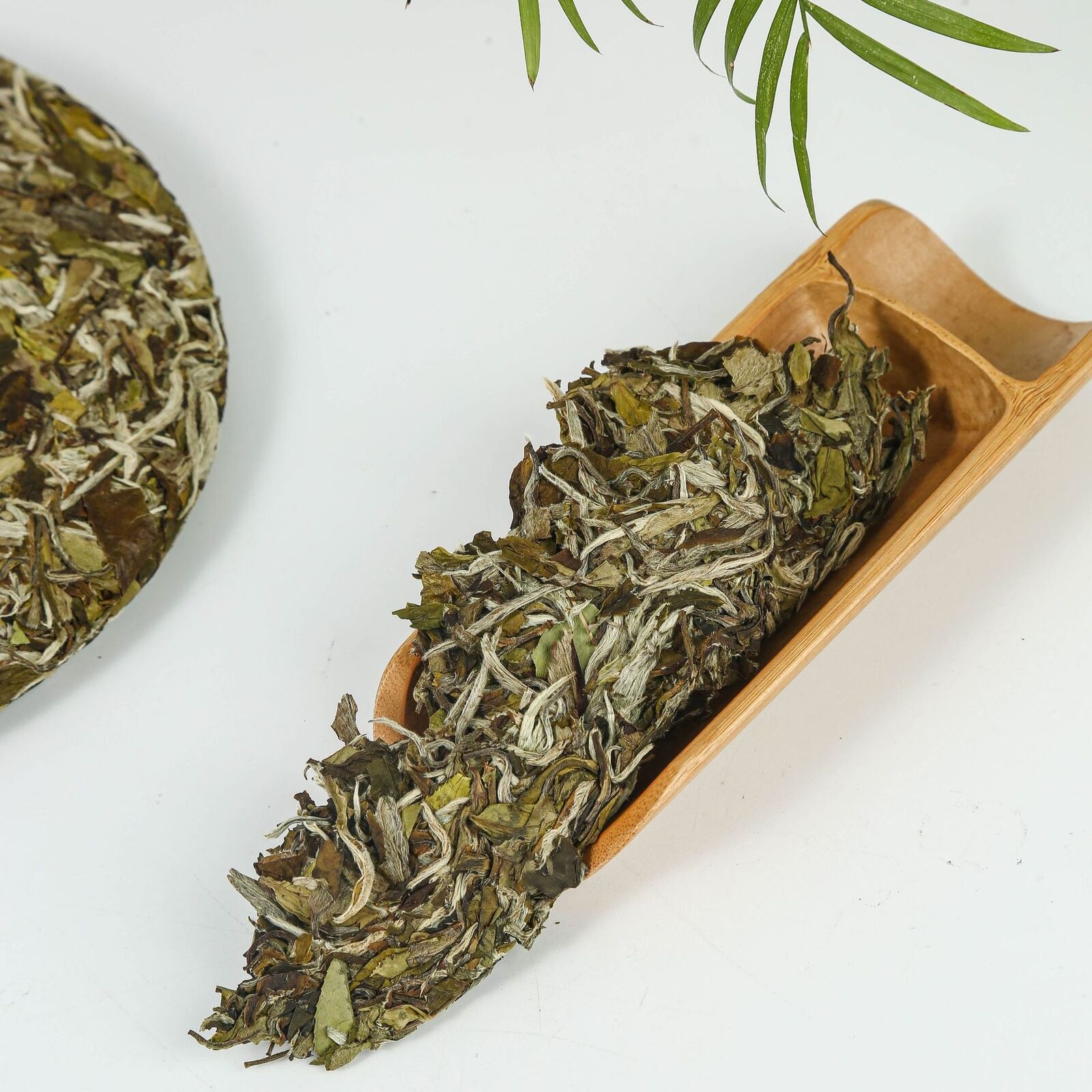 HelloYoung Fuding white tea peony flowers fragrant hairs alpine old white peony tea cake