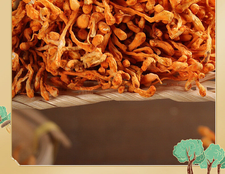 250g Organic Dried Cordyceps Flower Spore Head Sulfur free North Cordyceps Fresh