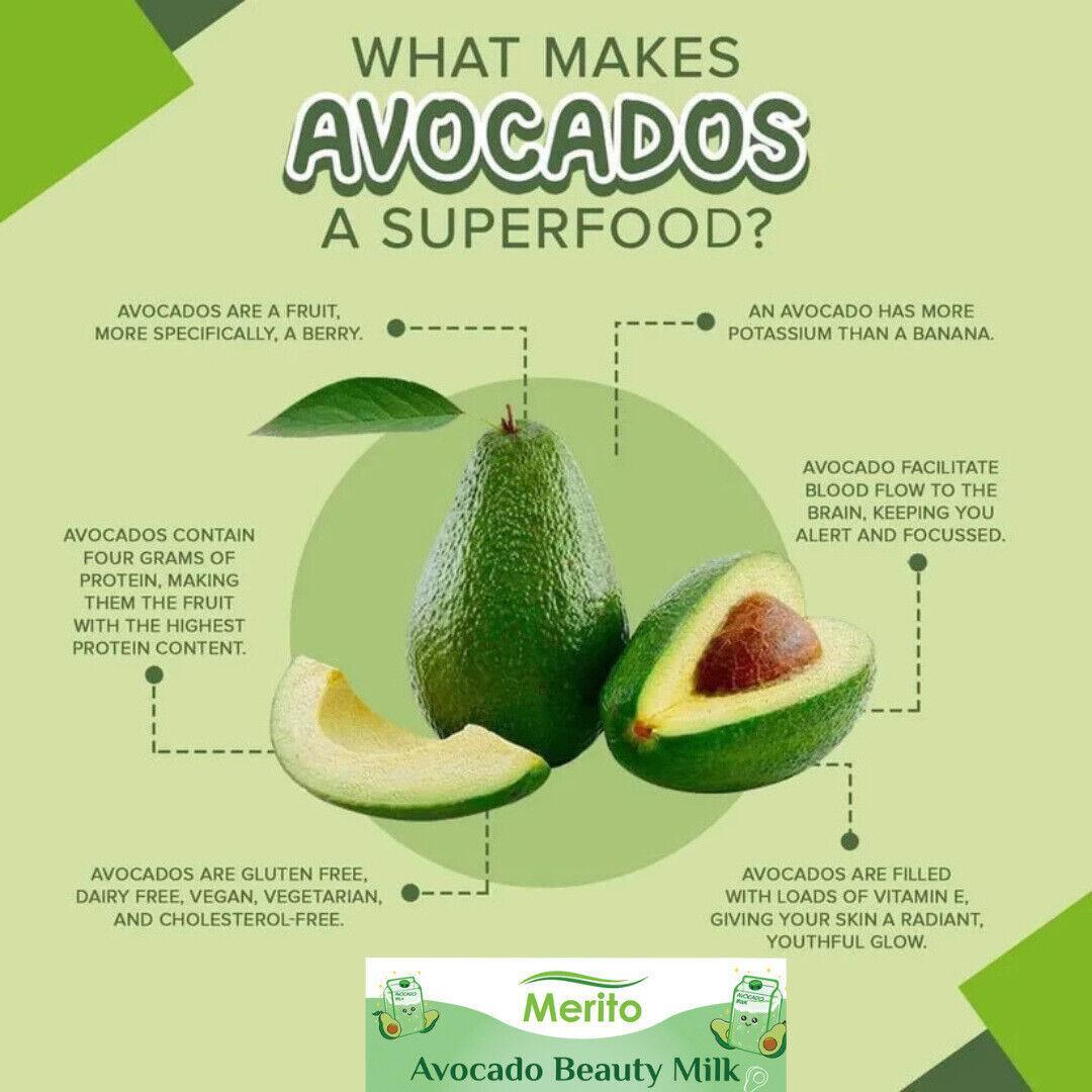 100g - Vitamins B5, B6, C, E, K, Folate Potassiu Avocado Fruit Powder
