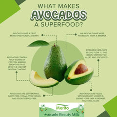 100g - Vitamins B5, B6, C, E, K, Folate Potassiu Avocado Fruit Powder