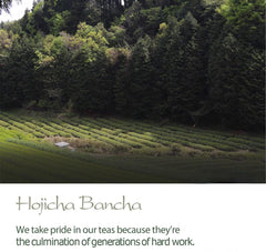 Bancha Hojicha Organic Green Tea - Houjicha Roasted Tea from Japan -  Tea 200g