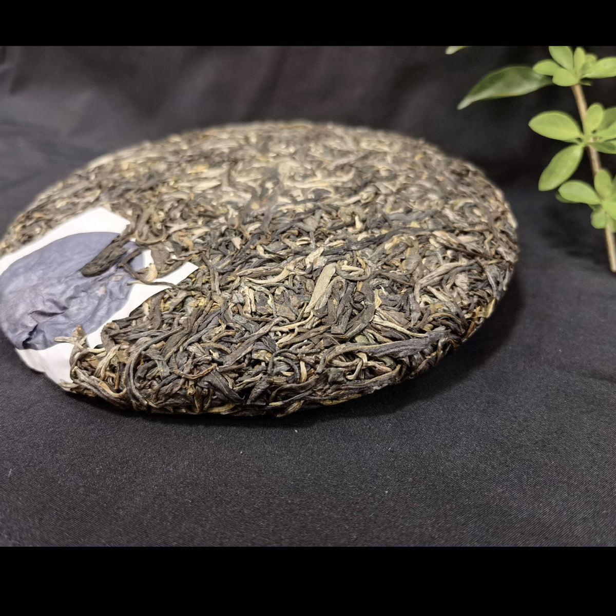 Brown Mountain Banzhang Ancient Tree Pressed Pu'er Tea 357g Pu'er Raw Tea Cake