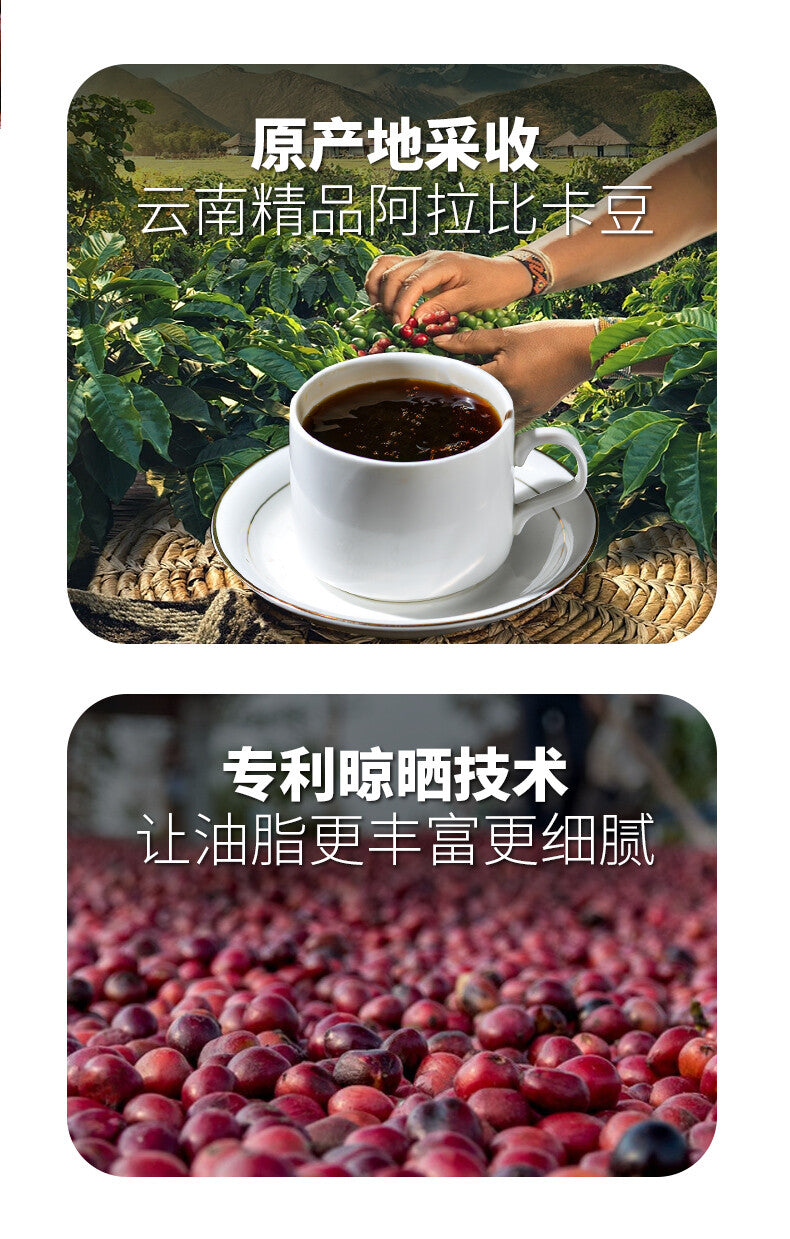 Yunnan Arabica Medium Roast – Espresso Ground Coffee