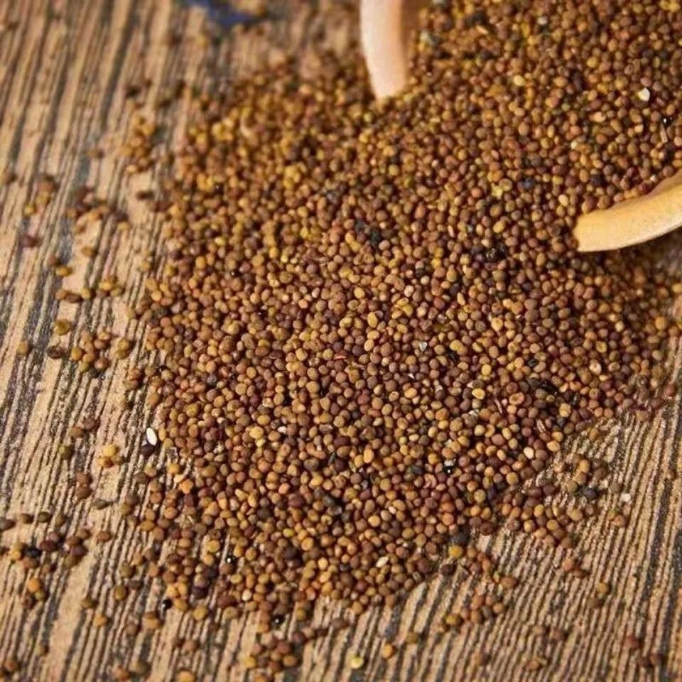100% Natural Dodder Seed TuSi Zi Dried Herbal Medicine Organic Herbal Tea