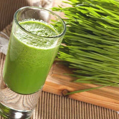 Barley Grass Powder 250g ORGANIC | PREMIUM | FREE Shipping | Detox + Wellness