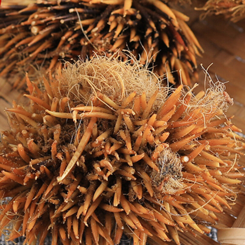 50g Healthy Care, 100% Chinese Top-grade Authentic Hedgehog Skin