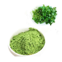 Premium Cilantra Leaf Powder, Coriander Leaf Powder -Fresh Green,100% Pure