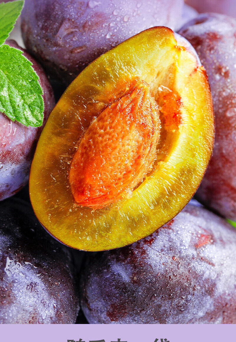 Epsom Fruit & Vegetable Enzyme DrinkDietary Fibre ConcentratePrune Juice