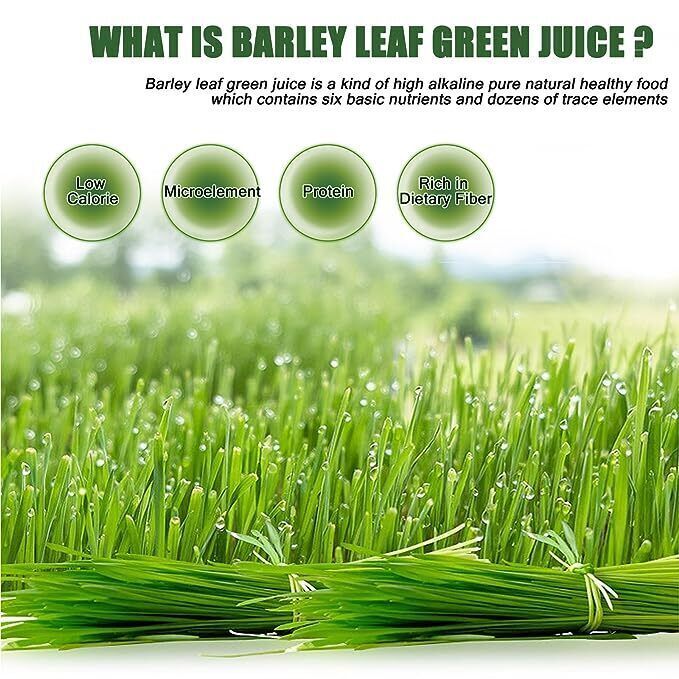 Pure Young Barley Grass powder | Detox Diet Weight loss | supergreen superfood