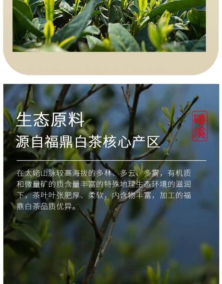 HelloYoung 500g Fuding alpine white tea cake white peony king tea small square cookie tea