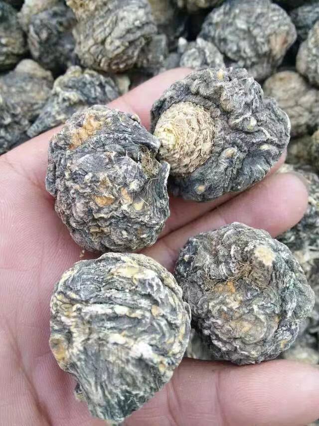 Extra Large Black Maca Kali River Maca Yunnan Maca Raw Materials Dried Fruits