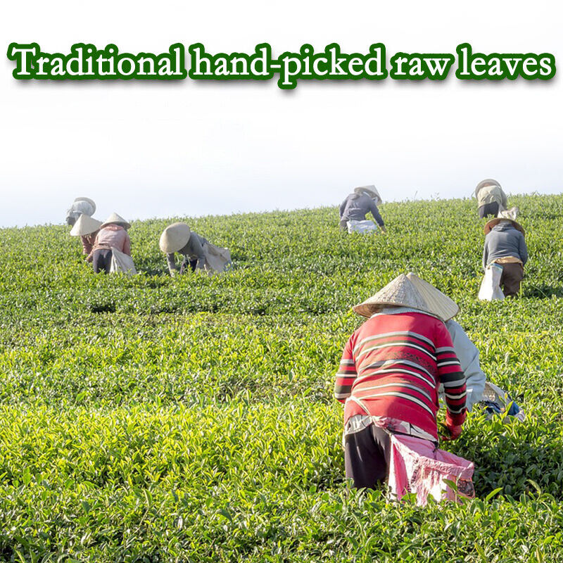 Oolong Taiwan Tea Jin Xuan Milk Wulong 250g Green Tea Organic Loose Leaf Tea