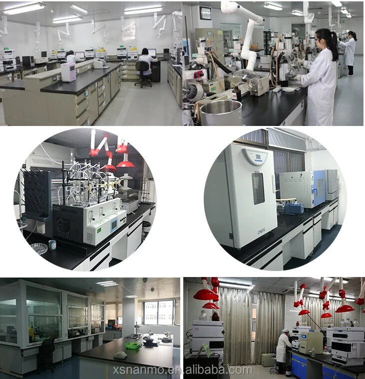 100% Pure Blueberry Fruit Powder Concentrate Powder Blueberry Juice Powder