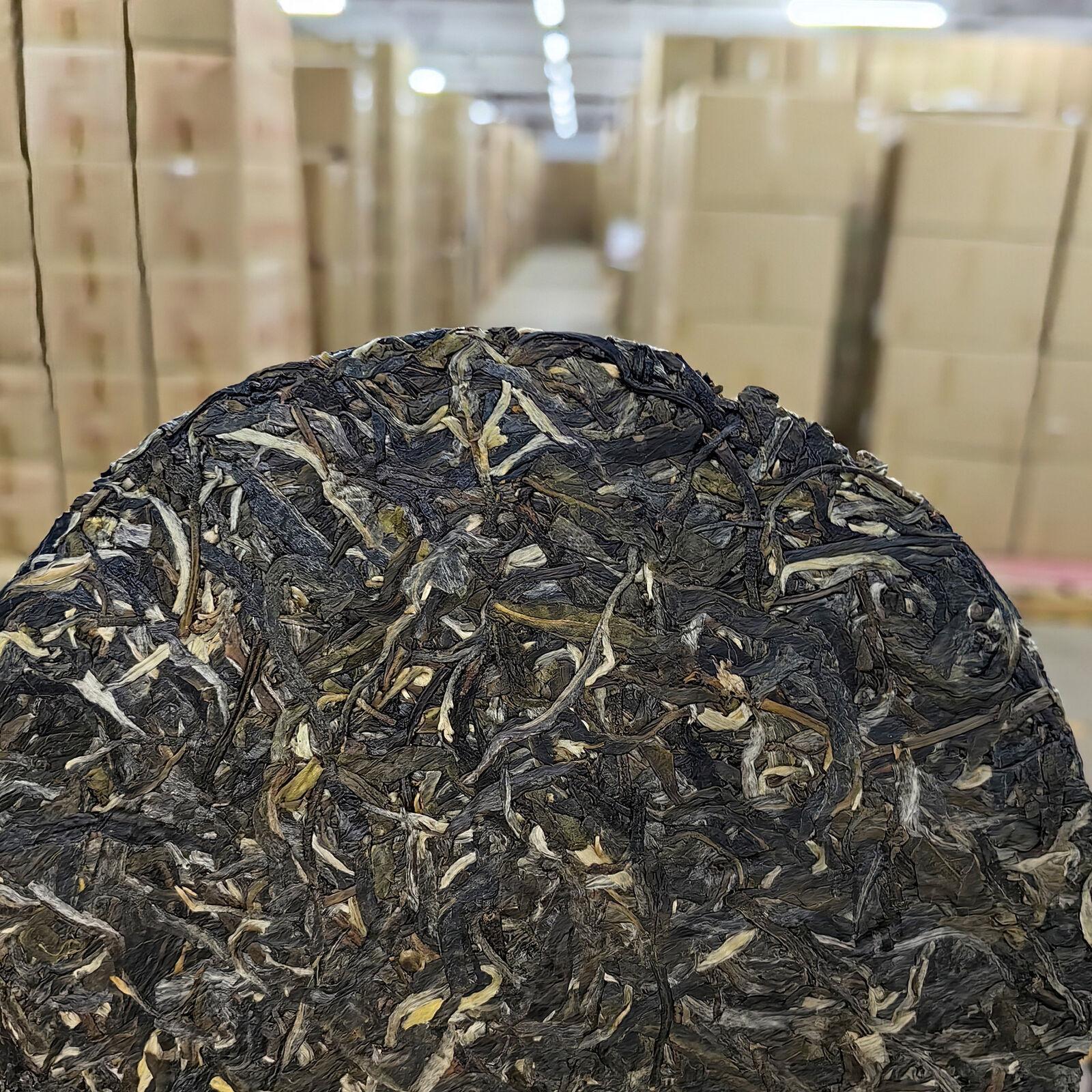 120g Hand-Torn Raw Tea Yunnan Pu-erh Tea - Lincang Bingdao Ancient Tree