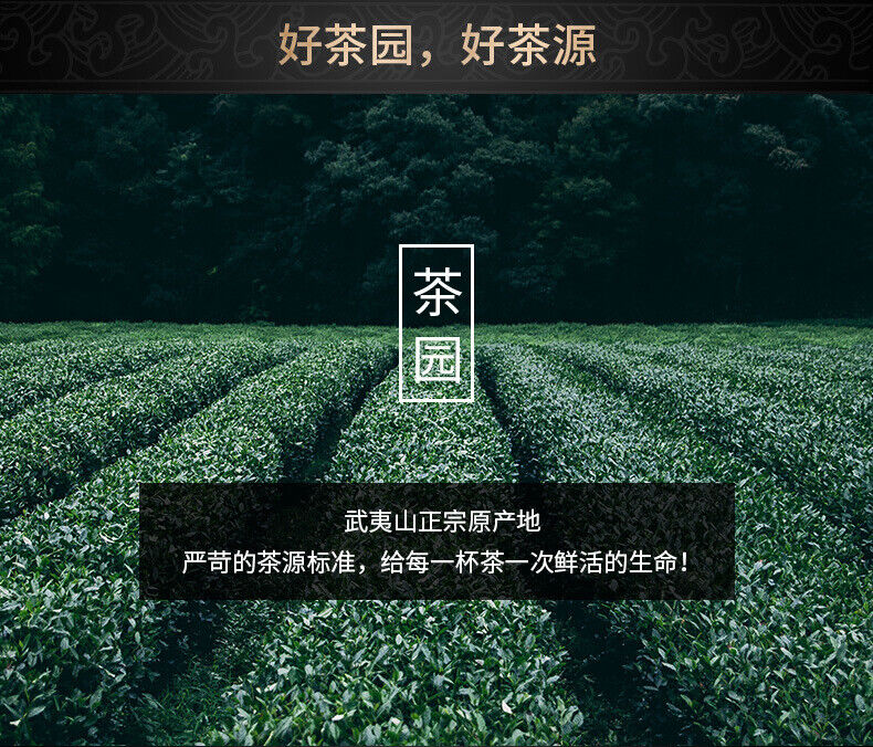 HelloYoung Fujian Wuyi Mountain Jinjunmei Black Tea Zhengshan Xiao Seed Tea 100g/3.52oz