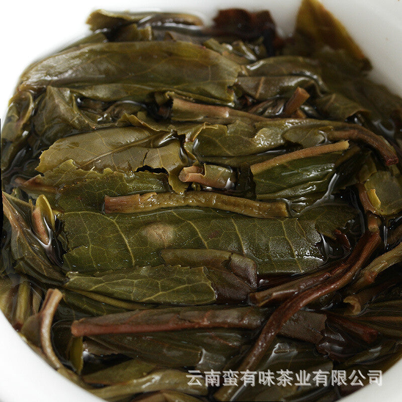 Yunnan Puerh Tea 100g Pasha Small Cake 2021 Big Tree Tea Puerh Raw Cake