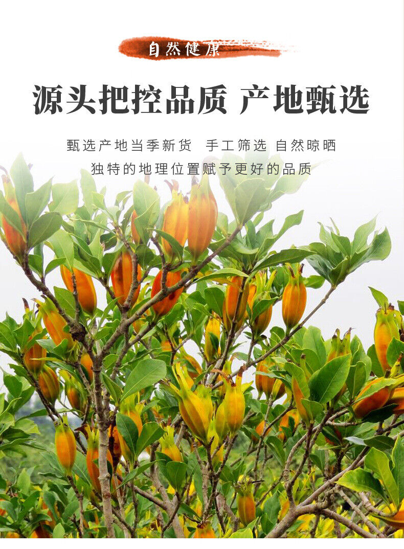 100g Gardenia Fruit Tea Canned Large Dried Flower Gardenia Herbal Beverage