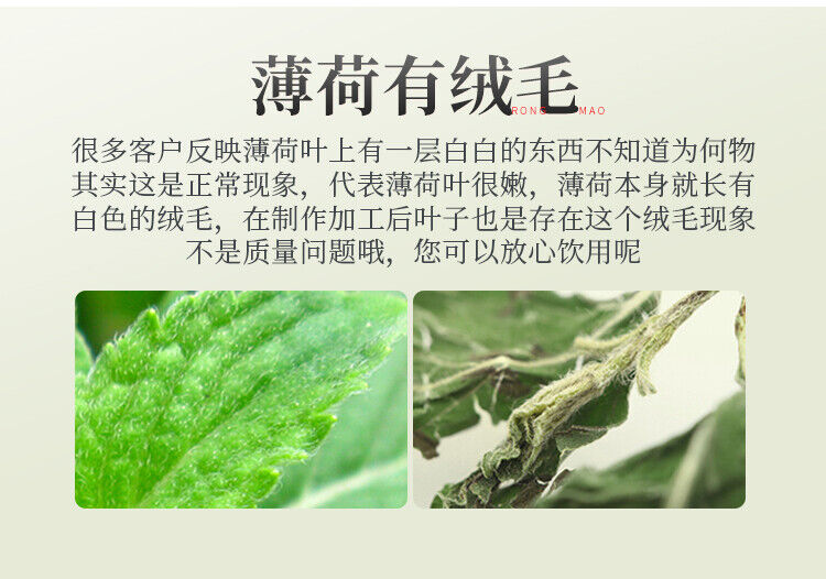 Natural Organic Mint Leaves Refreshing Dried Mint Tea Healthy Drinks